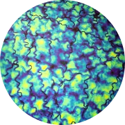 CBS Dichroic Coating Blue/ Gold Fusion Pattern on Thin Black Glass COE96