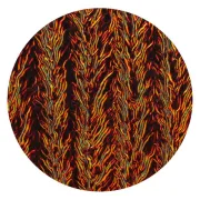 CBS Dichroic Coating Candy Apple Red on Clear Herringbone Ripple Glass COE90