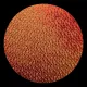CBS Dichroic Coating Candy Apple Red on Wissmach Thin Black Florentine Textured Glass COE90