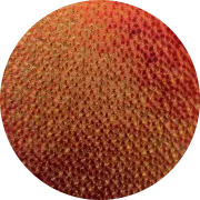 CBS Dichroic Coating Candy Apple Red on Wissmach Thin Black Florentine Textured Glass COE96