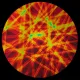 CBS Dichroic Coating Candy Apple Red Pixie Stix Pattern on Thin Clear Glass COE96