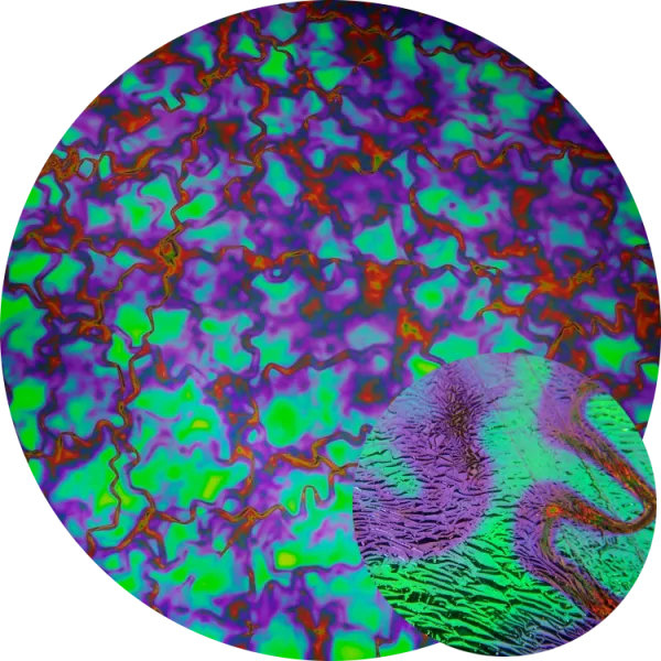 CBS Dichroic Coating Crinklized Emerald Fusion Pattern on Thin Clear Glass COE90