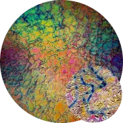 CBS Dichroic Coating Crinklized Mixture Fusion Pattern on Thin Clear Glass COE90