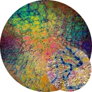 CBS Dichroic Coating Crinklized Mixture Fusion Pattern on Thin Clear  Glass COE96