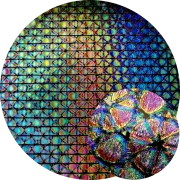 CBS Dichroic Coating Crinklized Mixture Geodesic Pattern on Thin Clear  Glass COE96