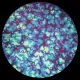 CBS Dichroic Coating Crinklized Red/ Silver Blue Fusion Pattern on Thin Black Glass COE90
