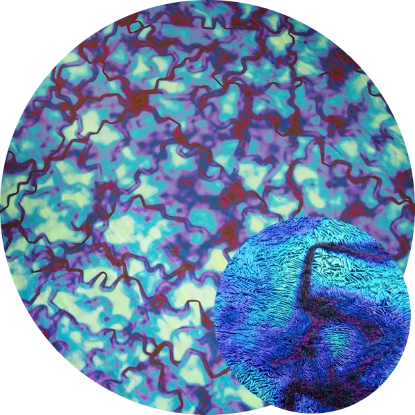 CBS Dichroic Coating Crinklized Red/ Silver Blue Fusion Pattern on Thin Black Glass COE90