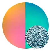 CBS Dichroic Coating Crinklized Red/ Silver Blue on Thin Black  COE96