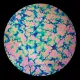 CBS Dichroic Coating Crinklized Violet Fusion Pattern on Thin Clear Glass COE90
