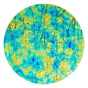 cbs-dichroic-coating-cyan-copper-aurora-borealis-pattern-on-bullseye-mardi-gras-glass-coe90-sku-179137-600x600.jpg