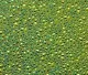 CBS Dichroic Coating Cyan/ Copper on Wissmach Thin Clear Dew Drop Textured Glass COE90