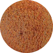 CBS Dichroic Coating Cyan/ Dark Red on Clear Ripple Glass COE96