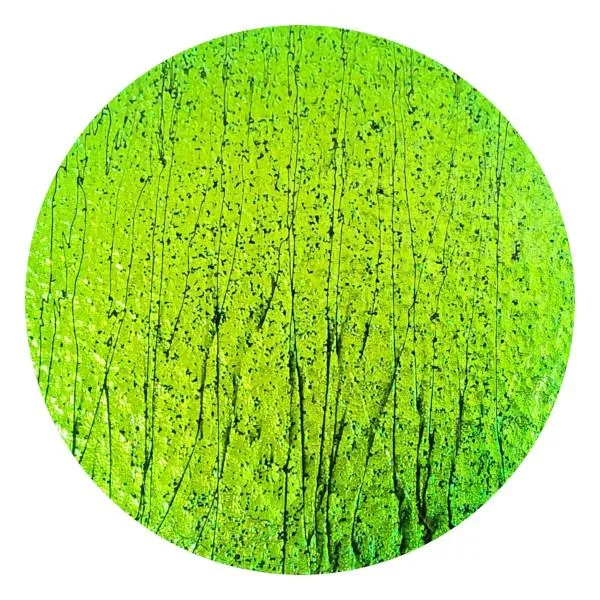 CBS Dichroic Coating Emerald Green on Bullseye Mardi Gras Glass COE90