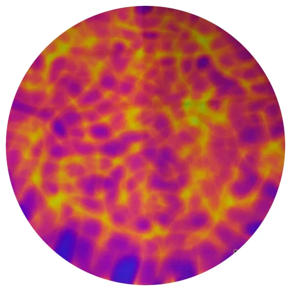 CBS Dichroic Coating Green/ Magenta Aurora Borealis Pattern on Thin Clear Glass COE90