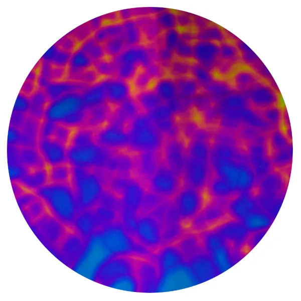 CBS Dichroic Coating Green/ Magenta Blue Aurora Borealis Pattern on Thin Black Glass COE90