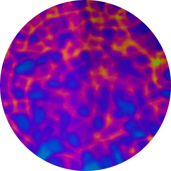 CBS Dichroic Coating Green/ Magenta Blue Aurora Borealis Pattern on Thin Black  Glass COE96