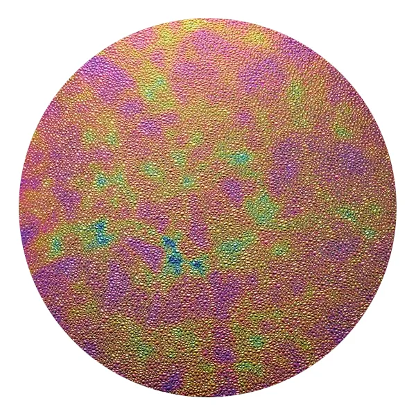 CBS Dichroic Coating Green/ Magenta Blue Aurora Borealis Pattern on Wissmach Thin Black Dew Drop Textured Glass COE90