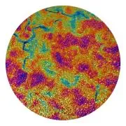 CBS Dichroic Coating Green/ Magenta Blue Fusion Pattern on Wissmach Thin Black Matrix Glass COE90