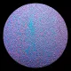 CBS Dichroic Coating Green/ Magenta Blue on Black Ripple Glass COE90