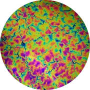 CBS Dichroic Coating Green/ Magenta Fusion Pattern on Thin Black Glass COE90
