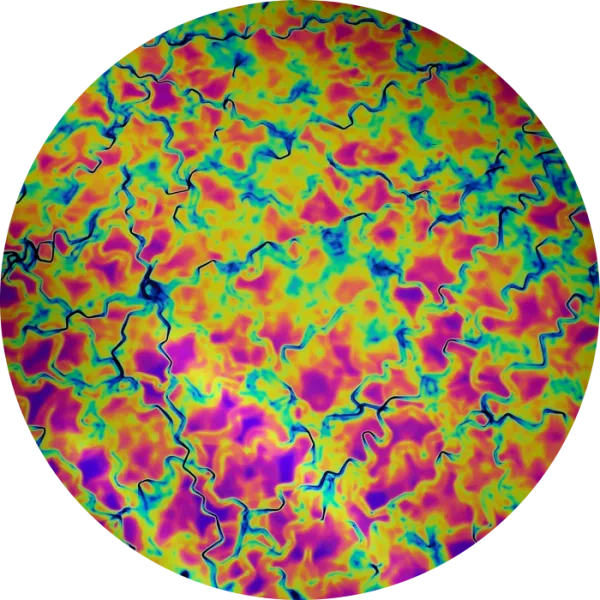 CBS Dichroic Coating Green/ Magenta Fusion Pattern on Thin Black  Glass COE96