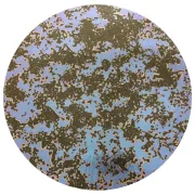 CBS Dichroic Coating Green/ Magenta Splatter Pattern on Thin Clear Glass COE90
