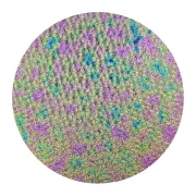 CBS Dichroic Coating Green/ Pink Aurora Borealis pattern on Wissmach Thin Clear Florentine Textured Glass COE90