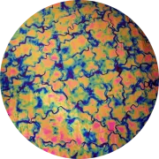 CBS Dichroic Coating Green/ Pink Fusion Pattern on Thin Black Glass COE90