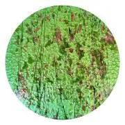 CBS Dichroic Coating Magenta/ Green on Bullseye Spring Green, Deep Pink Fractures with Black Streamers Glass COE90