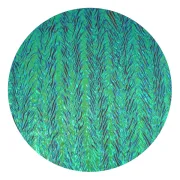 CBS Dichroic Coating Magenta/ Green on Clear Herringbone Ripple Glass COE90