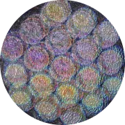 CBS Dichroic Coating Mixture Balloons 3 Pattern on Clear Ripple Glass COE96
