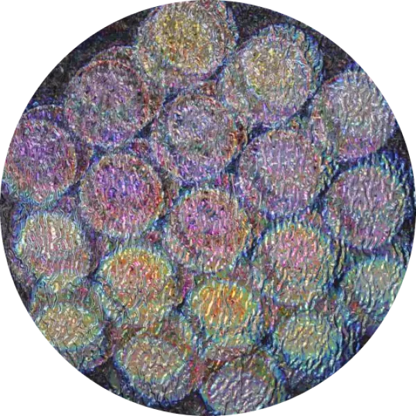 CBS Dichroic Coating Mixture Balloons 3 Pattern on Clear Ripple Glass COE96