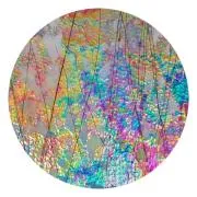 CBS Dichroic Coating Mixture Corkscrews Pattern on Bullseye White Fracture Streamers on Clear COE90