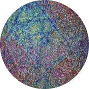 CBS Dichroic Coating Mixture Pixie Stix Pattern on Black Ripple Glass COE90