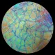 CBS Dichroic Coating Mixture Reptilian Pattern on Bullseye Clear Glass With Black Chopstix COE90