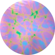 cbs-dichroic-coating-purple-pixie-stix-pattern-on-thin-black-glass-coe90-sku-153993-894x894.png
