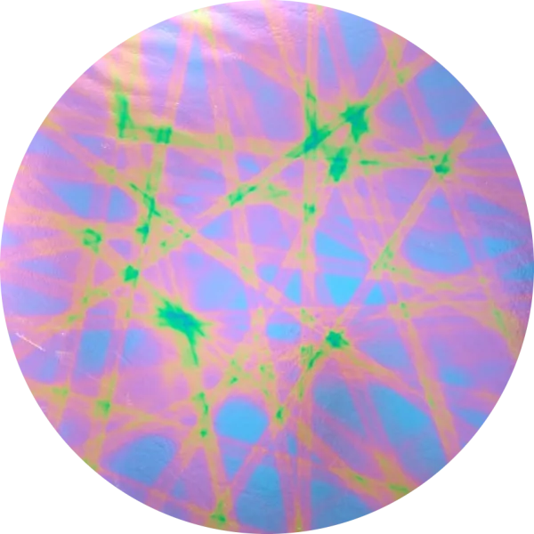 CBS Dichroic Coating Purple Pixie Stix Pattern on Thin Black Glass COE90