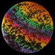 CBS Dichroic Coating Rainbow 2 Splatter Pattern on Thin Black Glass COE90