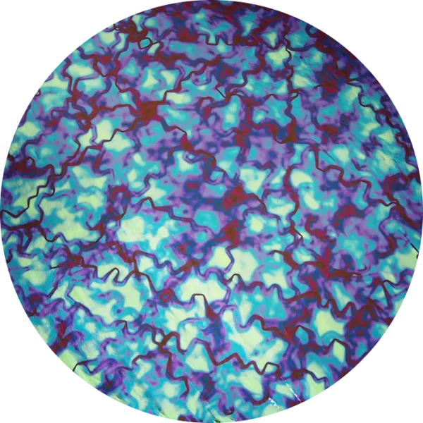CBS Dichroic Coating Red/ Silver Blue Fusion Pattern on Thin Black  Glass COE96