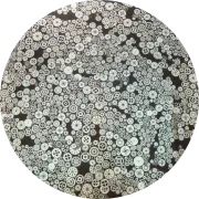 CBS Dichroic Coating Silver with Stell Gears Pattern Glass COE96