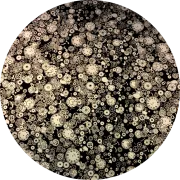 CBS Dichroic Coating Silver with Stell Timepieces Pattern Glass COE96