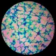 CBS Dichroic Coating Violet Fusion Pattern on Thin Black Glass COE90