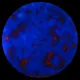 CBS Dichroic Coating Yellow/ Blue Auroa Borealis Pattern on Thin Black Glass COE90