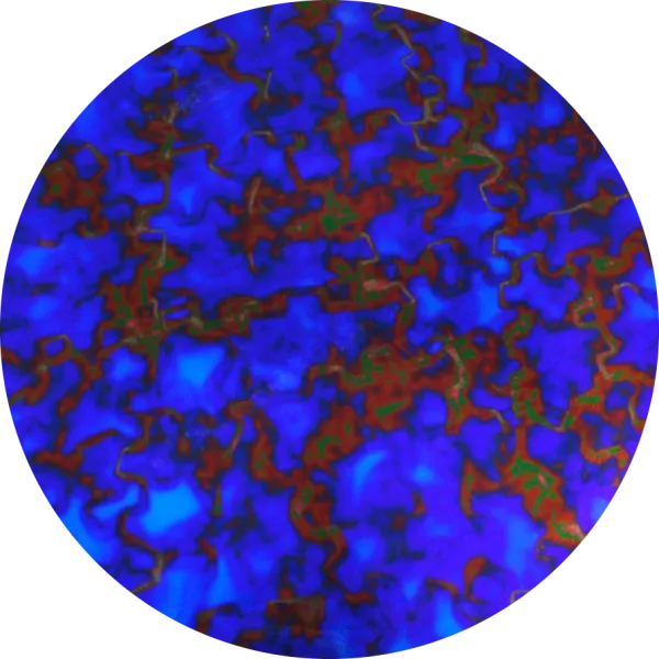 CBS Dichroic Coating Yellow/ Blue Fusion Pattern on Thin Black Glass COE90
