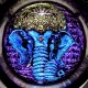 CBS Dichroic Extract Rainbow 1 Sample Set