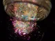 CBS Dichroic Extract Rainbow 1 Sample Set
