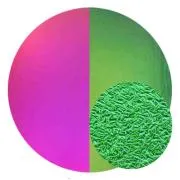 CBS Dichroic Coating Crinklized Magenta/ Green on Thin Clear  COE96