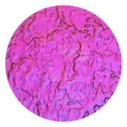 CBS Dichroic Coating Green/ Magenta on Black Granite  COE96