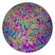 CBS Dichroic Coating Crinklized Green/ Magenta Blue Fusion Pattern on Thin Clear Glass COE90