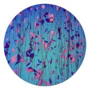 CBS_Dichroic_Yellow_Blue_on_Bulleseye_White_Blue_Fractures.jpg